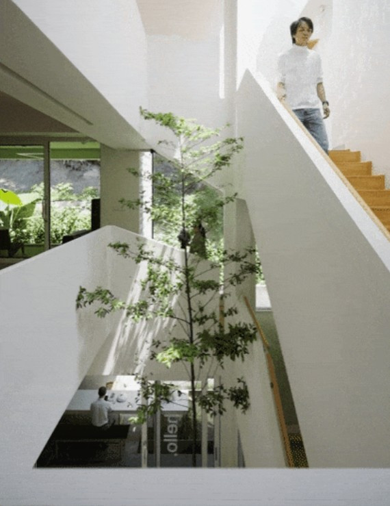 Cửa kính trượt từ sàn đến trần kết nối không gian trong và ngoài, cho phép gió tự nhiên luân chuyển mà không cần quạt. Ảnh: Toutiao