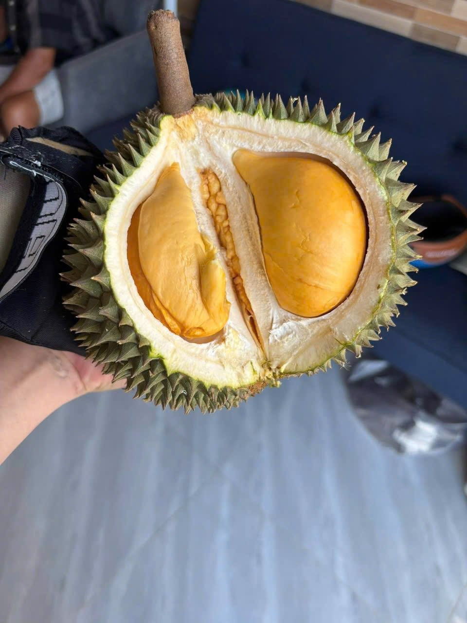 Với trọng lượng từ 2–4 kg/trái, một trái sầu riêng gai đen có thể từ khoảng 900.000 đồng đến gần 2 triệu đồng, tùy kích cỡ và chất lượng. Ảnh: FB Ly Ly