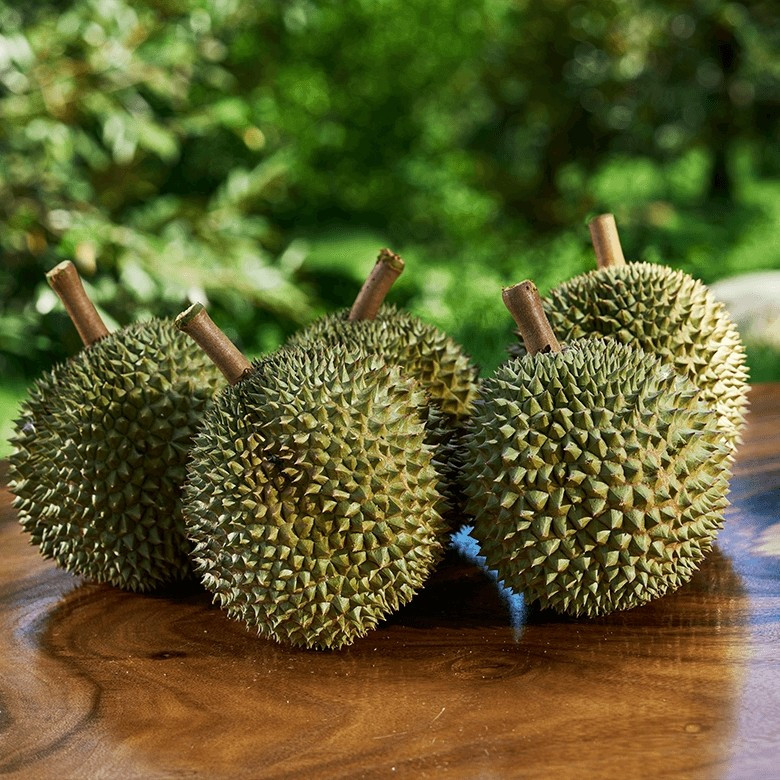 Sầu riêng Blackthorn có giá trị kinh tế cao do sản lượng không nhiều và quá trình trồng đòi hỏi điều kiện khí hậu, thổ nhưỡng phù hợp. Ảnh: Mun Meng Fruits