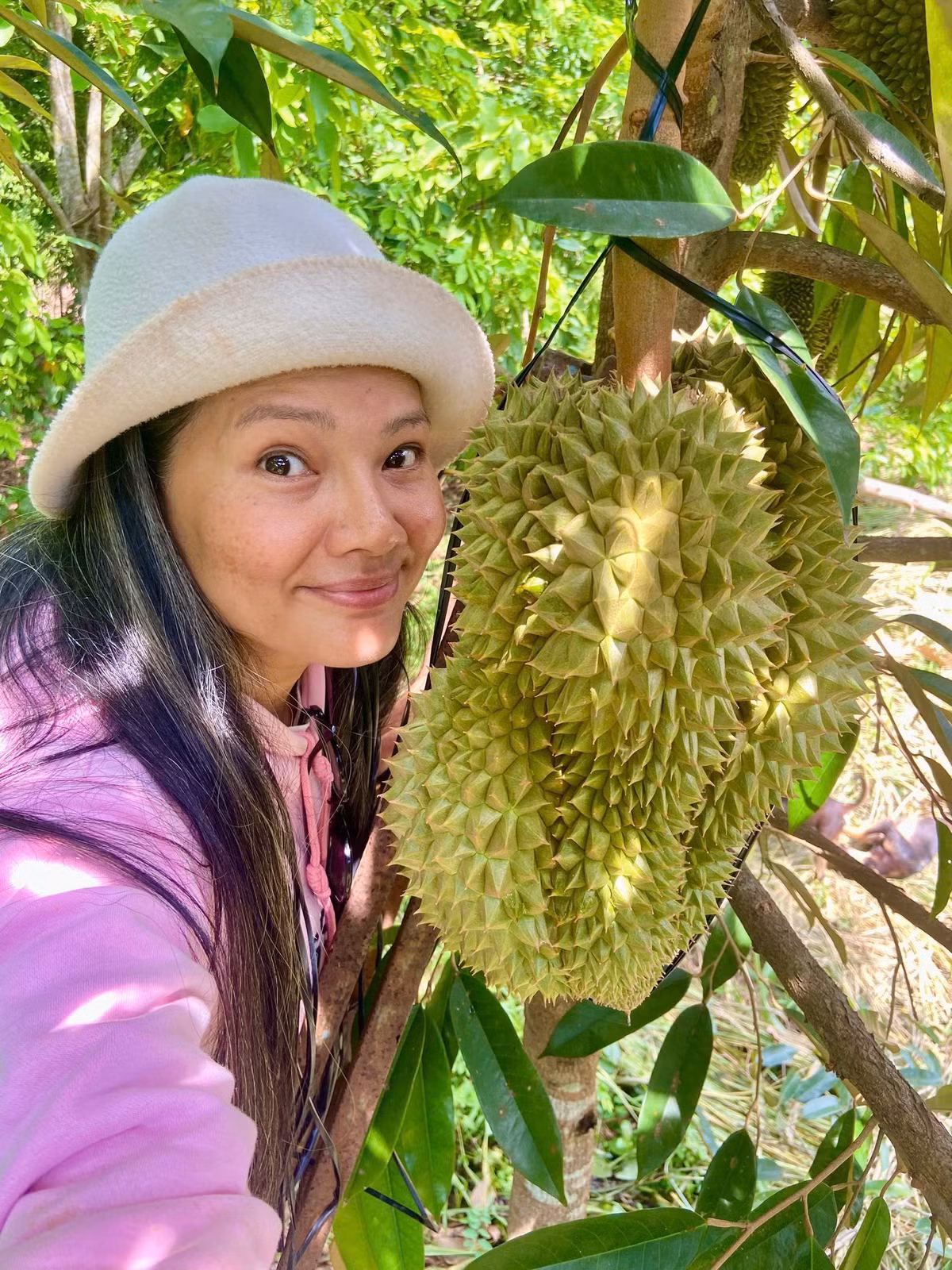 Với Kiều Trinh, sầu riêng là loại khó chăm sóc nhất. Ảnh: FB Nguyễn Kiều Trinh