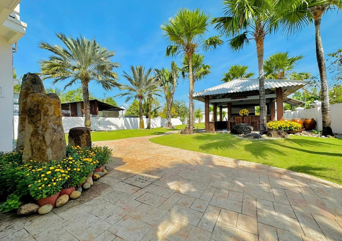 Phía sau nhà, Lâm Hùng thiết kế sân xanh mướt với vạn tuế, sa la, lộc vừng, ngô đồng, chà là và một số cây bóng mát. Ảnh: Vietnamnet