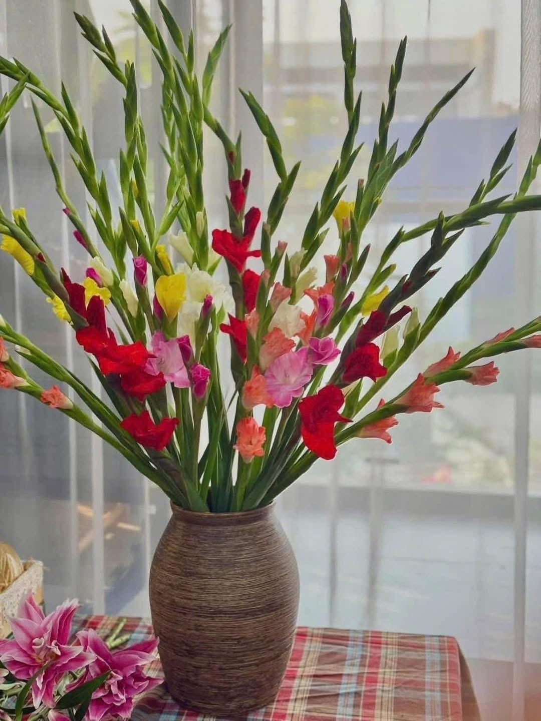 Hoa lay ơn - loài hoa truyền thống không thể thiếu trong dịp Tết tại Việt Nam, đặc biệt ở miền Bắc. Ảnh: FBNV