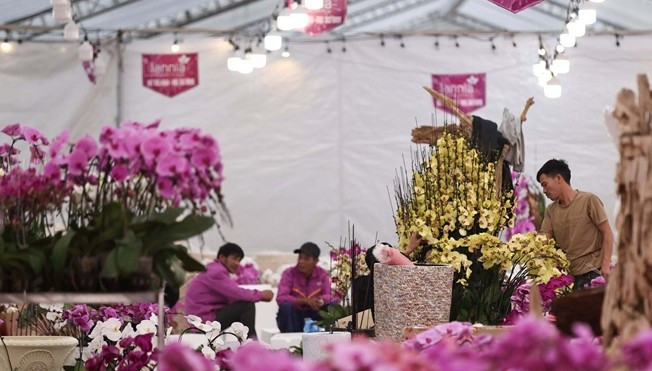 Tại các gian hàng, những người thợ cắm hoa lan tất bật để kịp phục vụ nhu cầu mua sắm Tết của người dân. Ảnh: Dân Việt