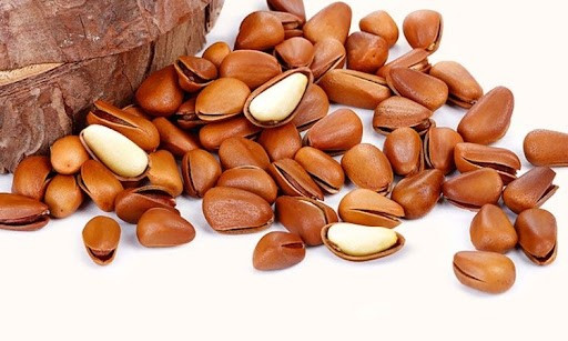 Thoạt nhìn, hạt thông nhỏ hơn hạt dẻ, thường có hình giọt nước với lớp vỏ bên ngoài bóng bóng với màu nâu. Ảnh: Đặc sản Đà Lạt