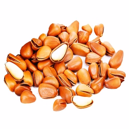 Tại nhiều quốc gia như Ý, Nga hay Hàn Quốc, hạt thông được xem là “thực phẩm vàng”, tốt cho sức khỏe. Ảnh: Nafarm