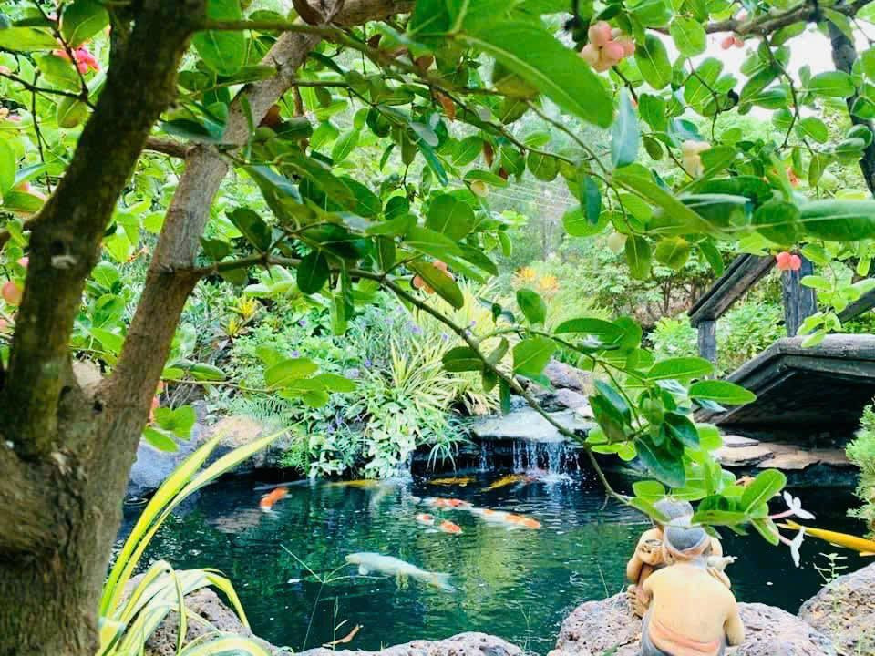 Căn biệt thự cổ được Hoàng Mập xây dựng trong suốt 3 năm, là tâm huyết và công sức của cả đại gia đình, từ khâu thiết kế, thi công đến việc tự tay trồng từng cành cây, ngọn cỏ. Ảnh: FB Hoàng Minh Bùi