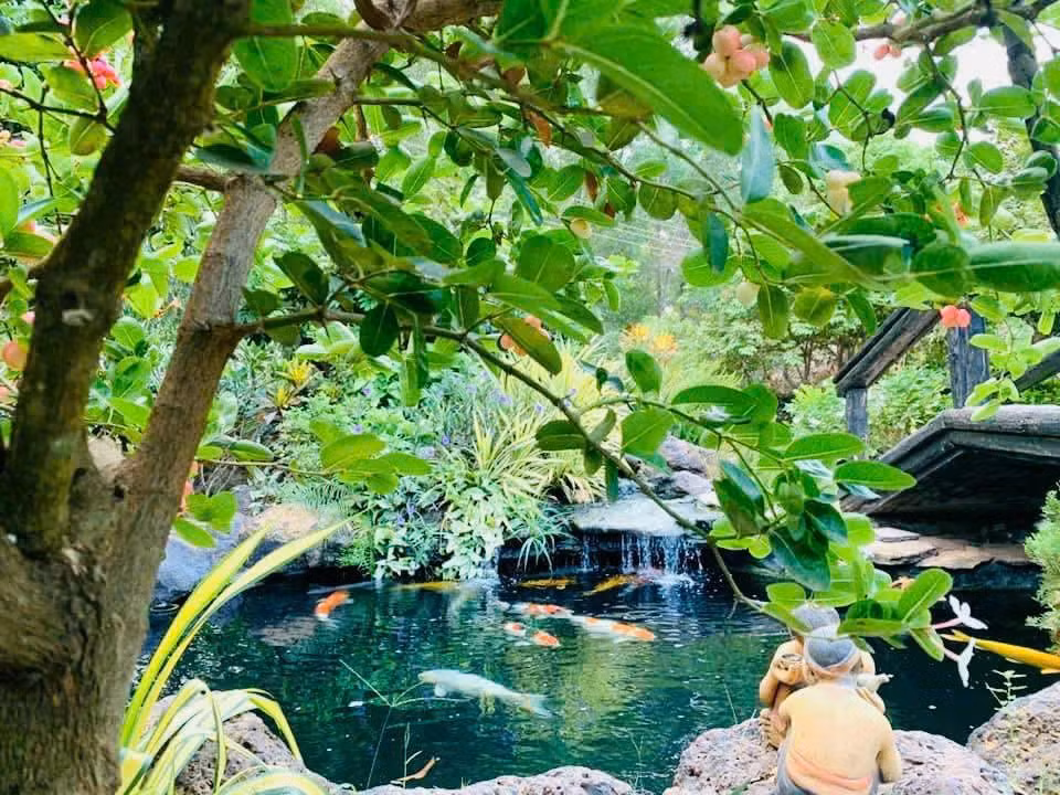 Căn biệt thự cổ được Hoàng Mập xây dựng trong suốt 3 năm, là tâm huyết và công sức của cả đại gia đình, từ khâu thiết kế, thi công đến việc tự tay trồng từng cành cây, ngọn cỏ. Ảnh: FB Hoàng Minh Bùi