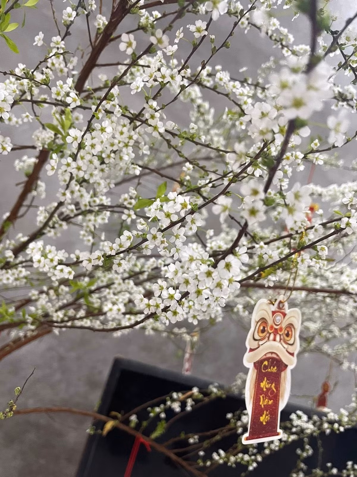 Hoa tuyết mai được ưa chuộng mỗi dịp Tết với thân gỗ nhỏ, cành dài, thanh mảnh, tạo dáng bay bổng và sang trọng. Ảnh: Facebook