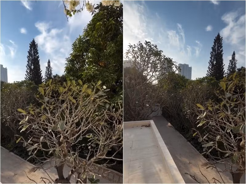 Nhà thiết kế sinh năm 1981 quyết định tậu căn biệt thự sân vườn tại thành phố Thủ Đức (TP HCM), đánh dấu một cột mốc quan trọng trong hành trình kiến tạo tổ ấm hạnh phúc cho đại gia đình. Ảnh: FBNV