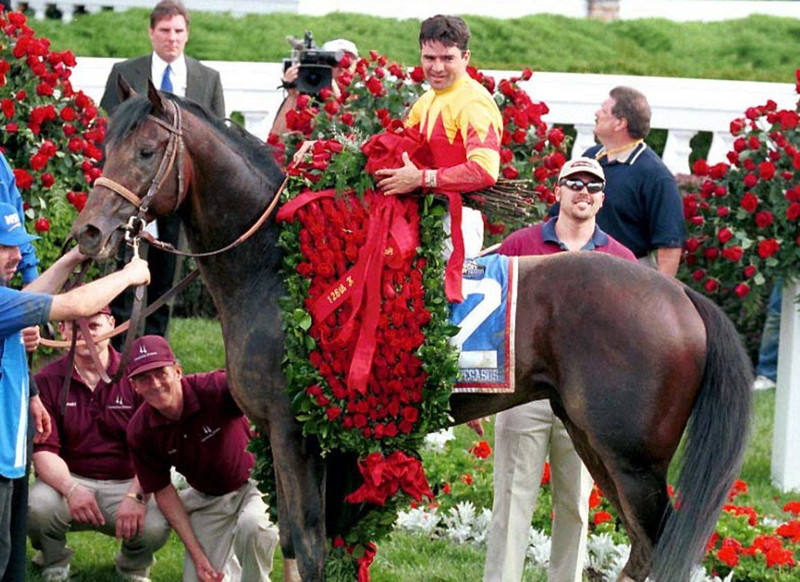 Trước khi được bán, Fusaichi Pegasus đã có sự nghiệp đua ngựa rực rỡ, giành nhiều chiến thắng và mang về hàng triệu USD. Ảnh: Blood horse