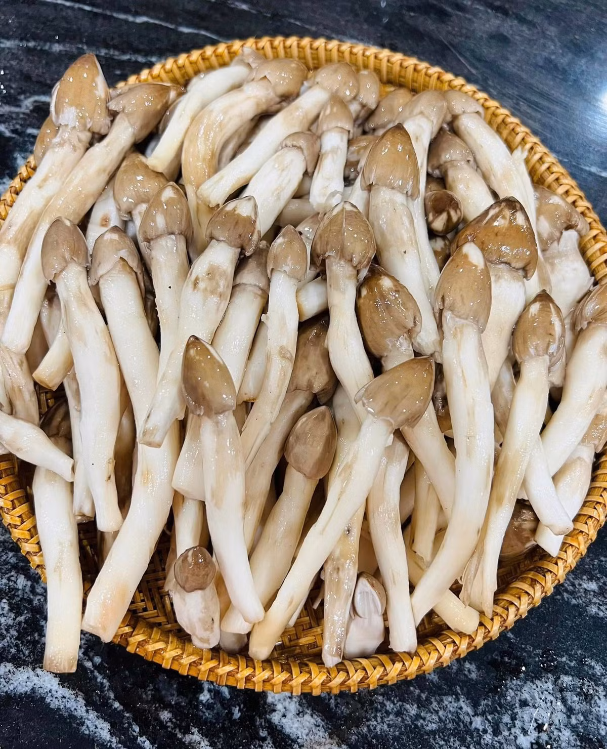 Tại nhiều nơi như Tây Ninh, Bến Tre, Bình Phước, nấm mối tươi được thương lái săn đón ngay trong đêm. Ảnh: Facebook