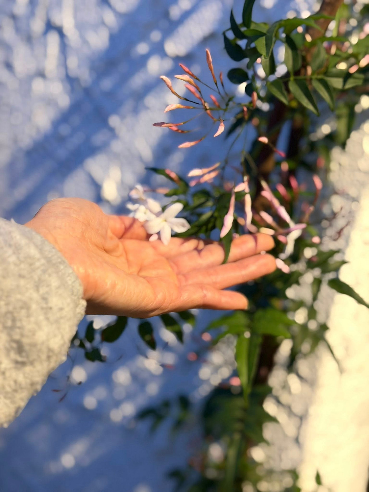 Đây là nơi nữ diễn viên học cách lắng nghe bản thân và tìm lại nhịp đập bình yên cho trái tim. Ảnh: FB Kim Hien