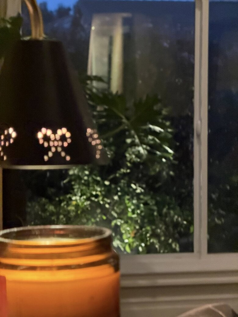 Qua khung cửa sổ có thấy khu vườn xanh mát. Ảnh: FB Kim Hien