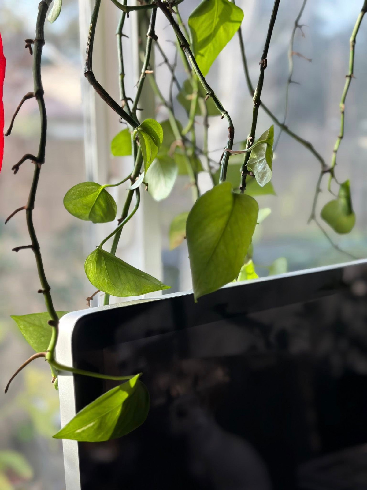 Nội thất trong nhà không chạy theo sự hào nhoáng mà tập trung vào cảm xúc, mang đến vẻ đẹp nhẹ nhàng, tinh tế. Ảnh: FB Kim Hien