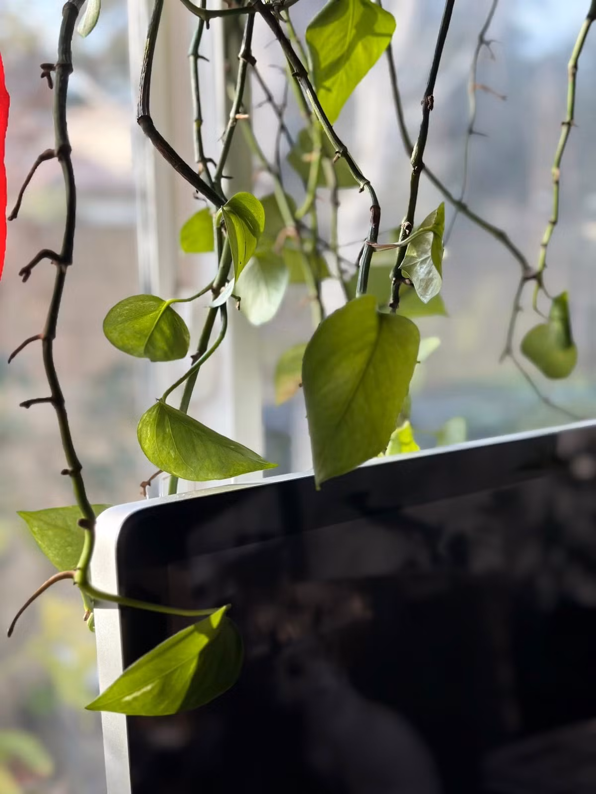 Nội thất trong nhà không chạy theo sự hào nhoáng mà tập trung vào cảm xúc, mang đến vẻ đẹp nhẹ nhàng, tinh tế. Ảnh: FB Kim Hien