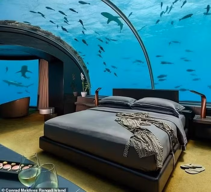 Căn phòng cho tầm nhìn 180 độ ra Ấn Độ Dương. Ảnh: Nypost