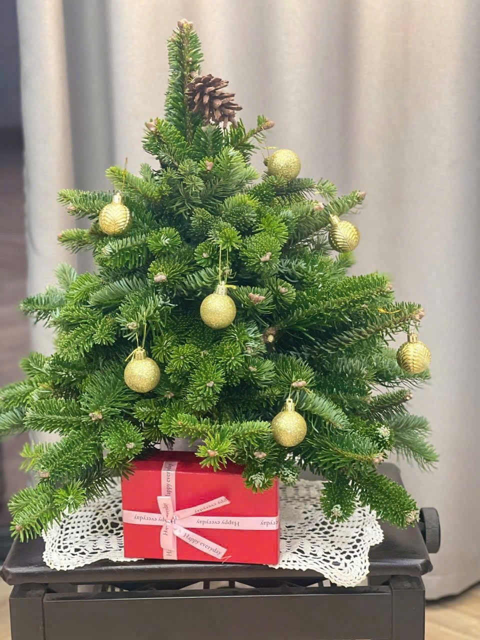 Vài năm gần đây, với xu hướng "sống xanh", thân thiện môi trường, không ít người tiêu dùng ưa chuộng cây thật trang trí dịp Giáng sinh, thay vì sử dụng dòng sản phẩm làm từ nhựa. Ảnh: Facebook