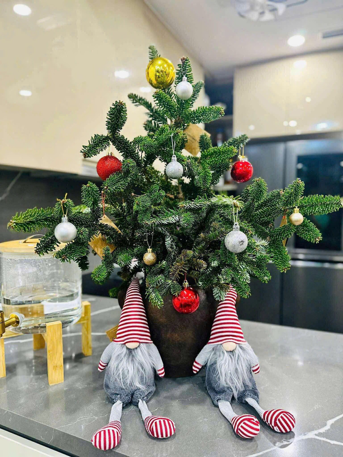 Những cành thông cao cấp giá cao hơn, khoảng 220.000 - 330.000 đồng/cành. Ảnh: Facebook