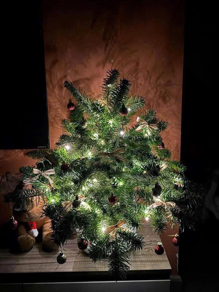 Giá mỗi cành thông khá đa dạng, tùy theo kích thước và xuất xứ, dao động từ vài chục nghìn đến hơn 150.000 đồng/cành. Ảnh: Facebook