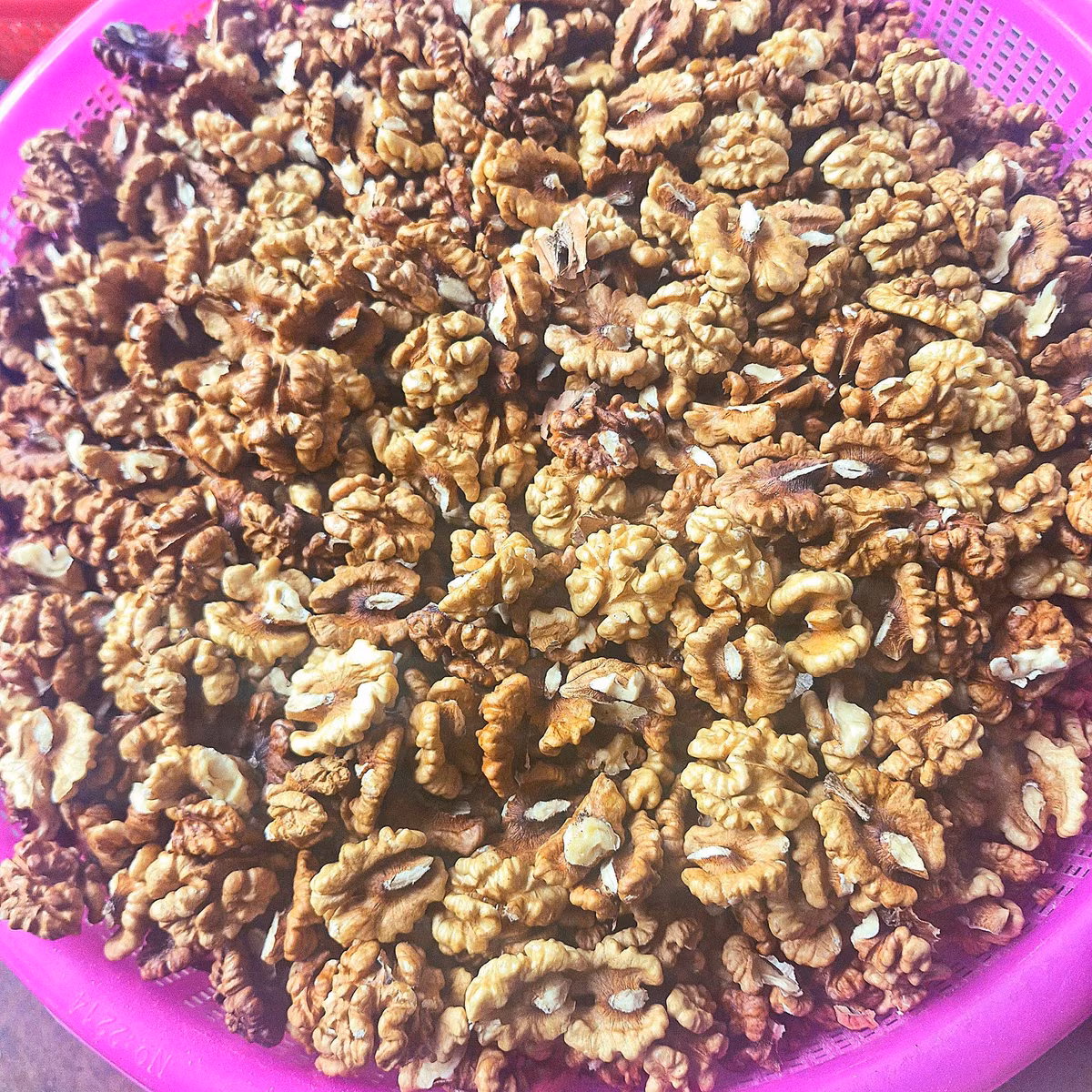 Quả óc chó rừng Việt Nam nhỏ hơn óc chó nhập khẩu, vỏ dày hơn và phần nhân cũng không quá lớn. Ảnh: Facebook