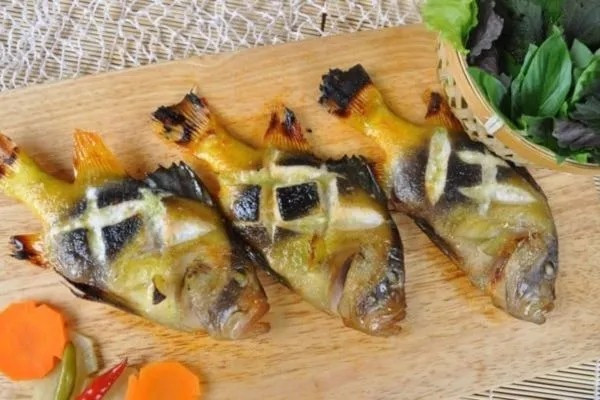 Cá sơn gà có thể chế biến thành nhiều món ngon, canh nấu lá giang, cá sơn gà chiên hoặc nướng tỏi. Ảnh: Haisanonggiau
