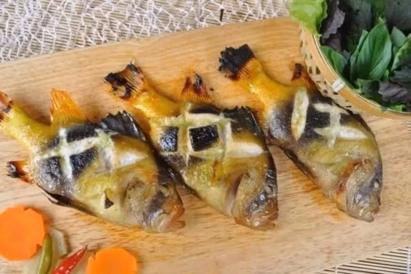 Cá sơn gà có thể chế biến thành nhiều món ngon, canh nấu lá giang, cá sơn gà chiên hoặc nướng tỏi. Ảnh: Haisanonggiau