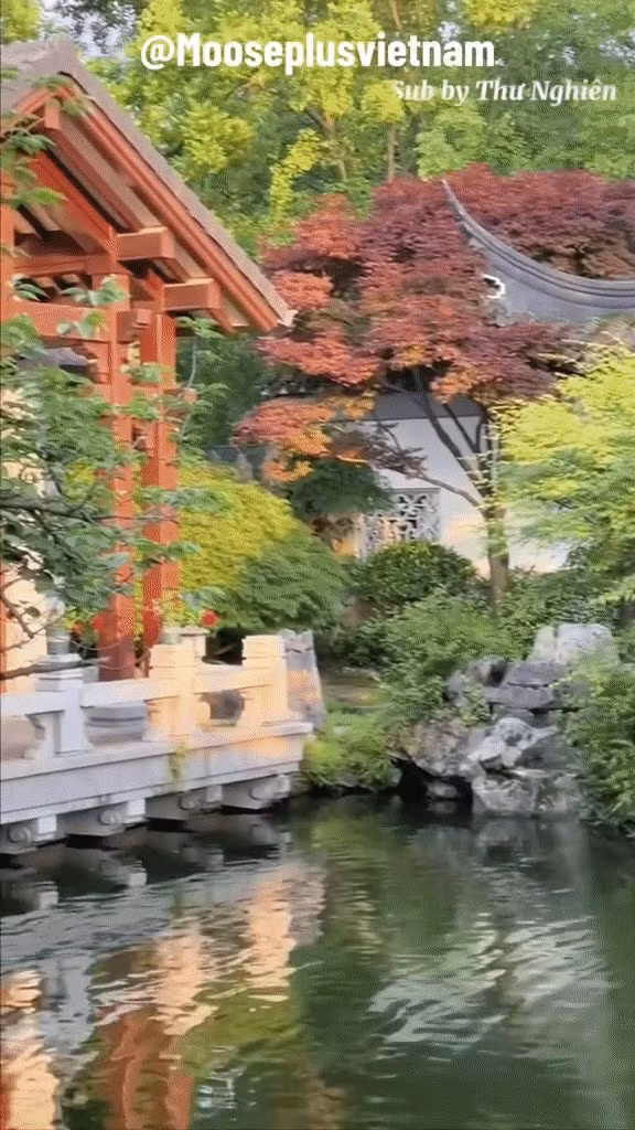 Ngoài thiết kế Viện Lâm hoành tráng, ngôi nhà của Đào Hỷ Nhi còn gây ấn tượng với không gian thoáng mát. Khu vực sân vườn chiếm phần lớn diện tích của biệt phủ. Ảnh: Sohu