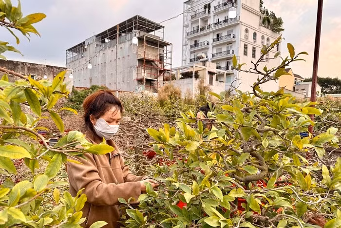 Không chỉ sinh viên, nhiều 'mẹ bỉm sữa' tranh thủ gửi con cho người thân đi làm vài giờ mỗi ngày để có thêm thu nhập. Ảnh: Thương Trường