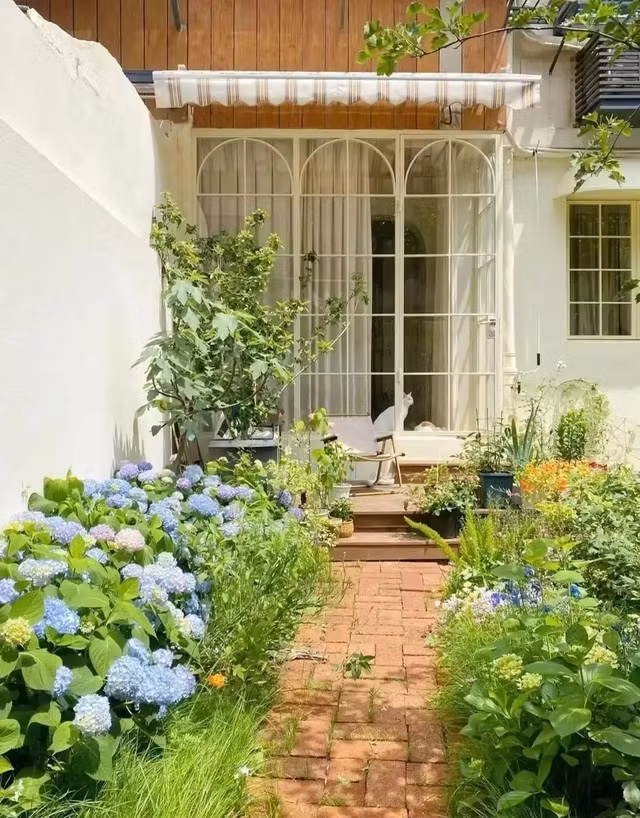 Chủ nhân trồng đủ các loại cây như cẩm tú cầu, anh đào, sung ngọt, vô tận hạ, chuối cảnh...Ảnh: Baidu