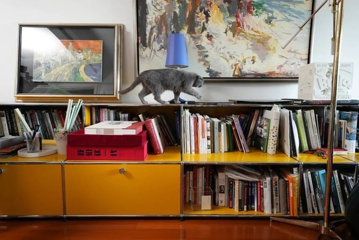 Nữ CEO chọn sách là "linh hồn" cho căn nhà: từ tạp chí, sách nghệ thuật, ẩm thực đến sách giáo khoa cũ, tất cả đều được sưu tầm từ nhỏ. Ảnh: Sina