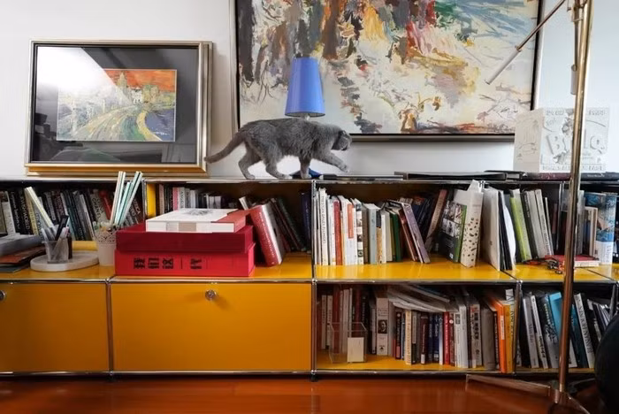 Nữ CEO chọn sách là "linh hồn" cho căn nhà: từ tạp chí, sách nghệ thuật, ẩm thực đến sách giáo khoa cũ, tất cả đều được sưu tầm từ nhỏ. Ảnh: Sina