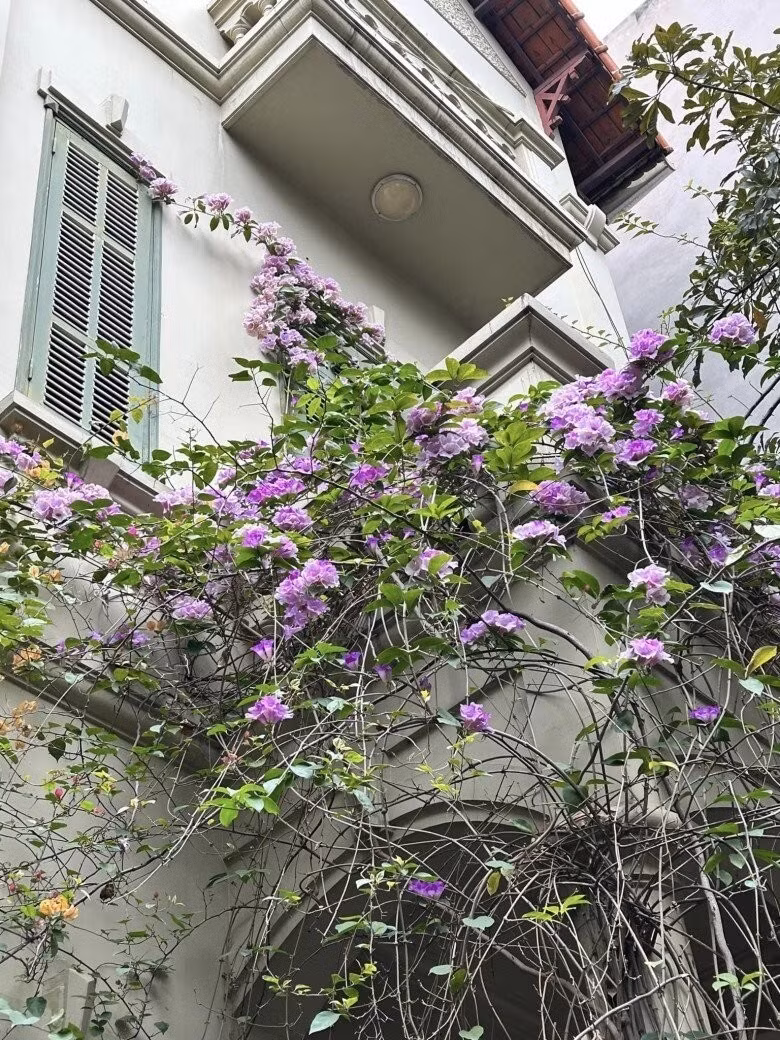 Ngoài đời, NTK Đức Hùng có cuộc sống hạnh phúc cùng gia đình trong căn biệt thự 3 tầng tại Hà Nội. Ảnh: FBNV