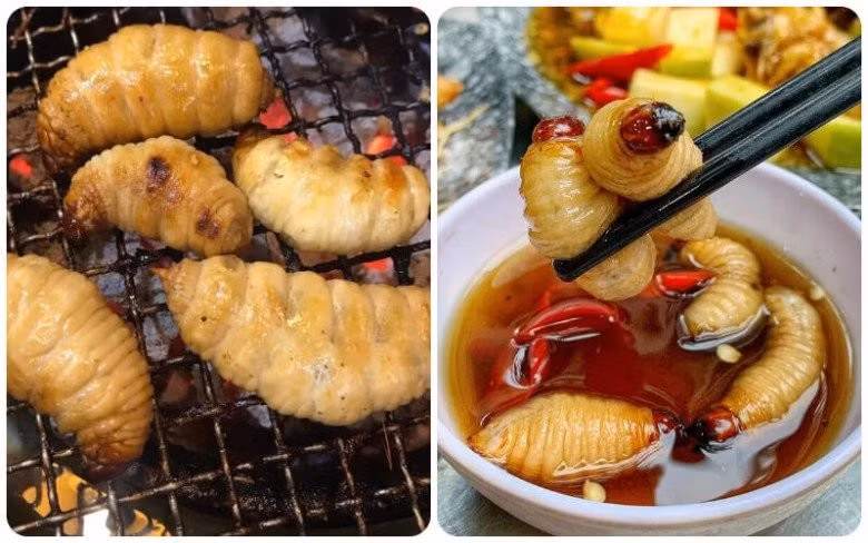 Đuông chà là được chế biến thành hai món ăn phổ biến là "tắm mắm" và chiên bơ. Trong đó,"tắm mắm" là cách ăn sống độc đáo, khi đuông còn sống thả vào bát mắm nguyên chất cho ngấm đều và thưởng thức. Ảnh: Internet