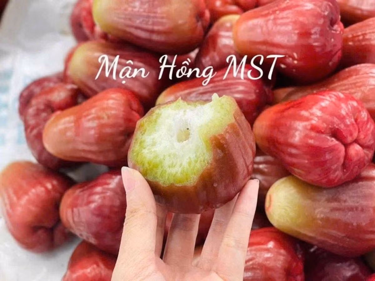 Mận hồng MST được xem là dòng sản phẩm chất lượng cao, giá cũng cao hơn các loại mận truyền thống. Ảnh: FB Nhung Phạm