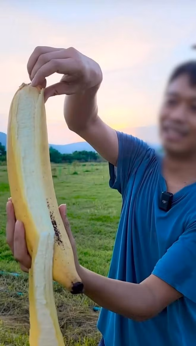 Quả chuối có lớp vỏ khá mỏng, phần thịt dày, vị ngọt mềm, dẻo. Ảnh: @Tagplethtiktok