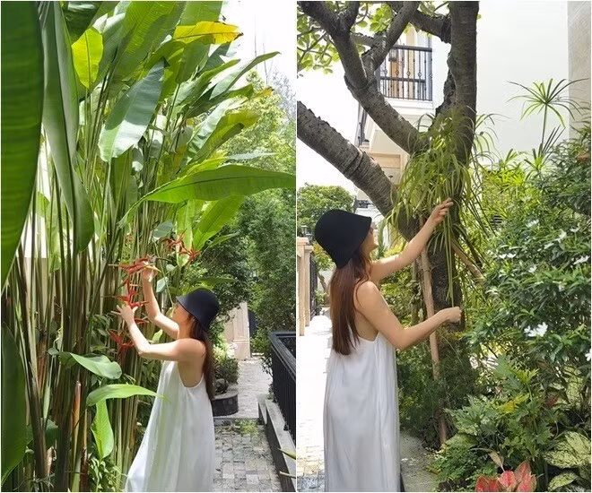 Lối đi nhỏ bên hông nhà được bao phủ bởi hàng cây nhiệt đới cao vút, tạo cảm giác như lạc vào một khu vườn yên tĩnh giữa phố thị. Ảnh chụp màn hình