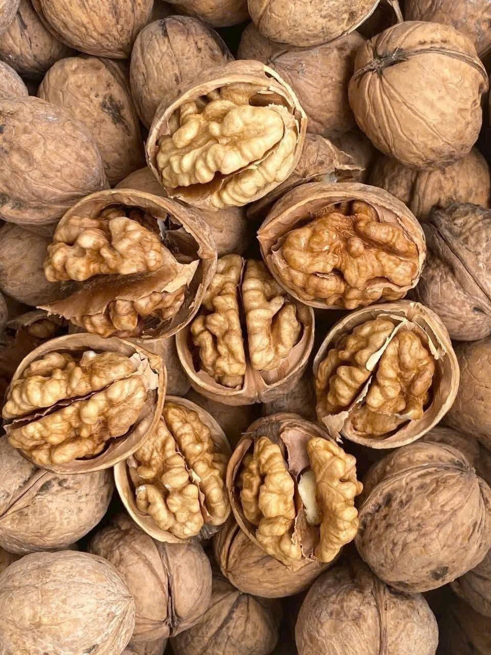 Sau khi tách vỏ, sấy khô, hạt óc chó rừng có giá khoảng 170.000 - 200.000 đồng/kg. Ảnh: Facebook