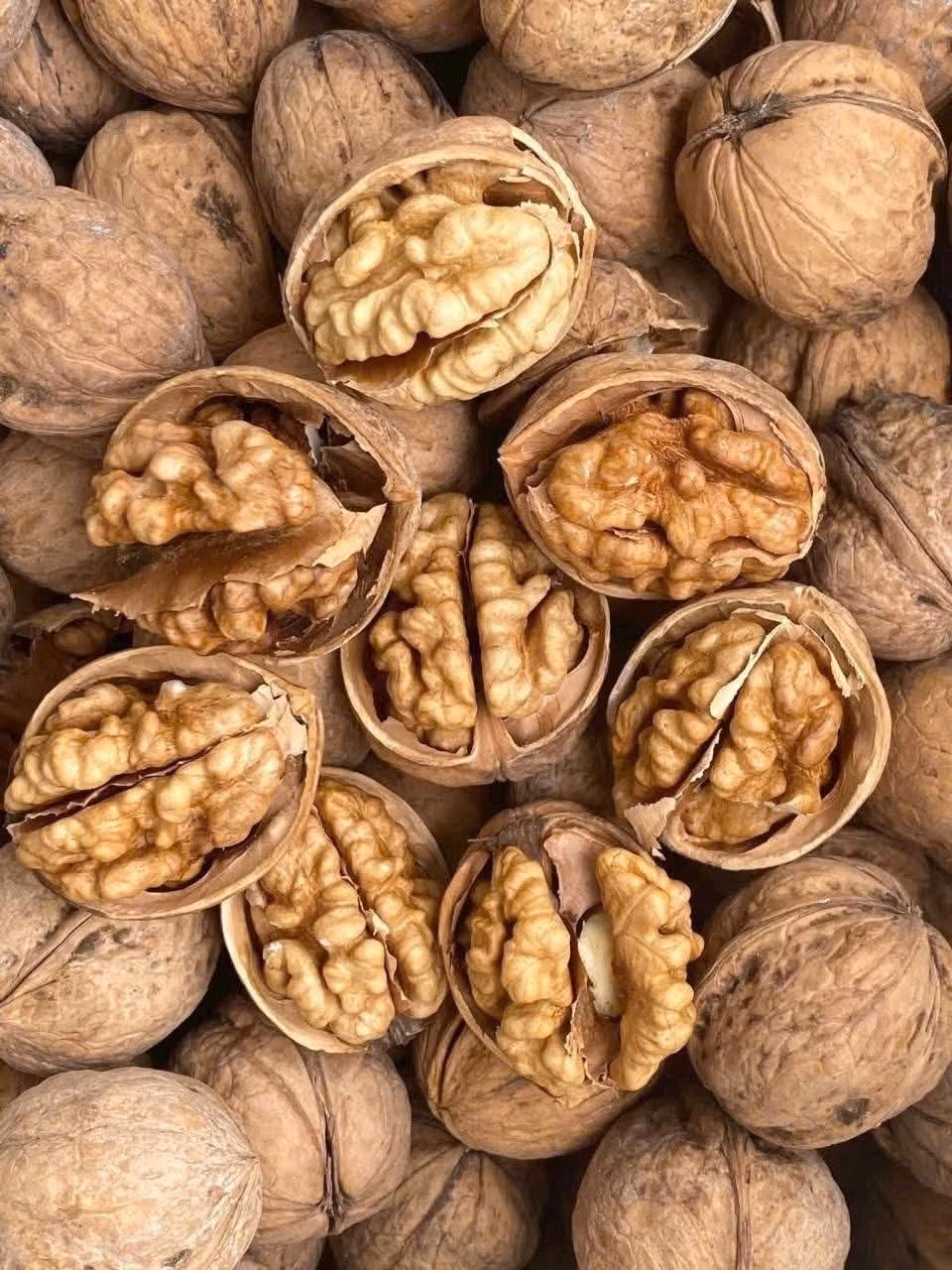 Sau khi tách vỏ, sấy khô, hạt óc chó rừng có giá khoảng 170.000 - 200.000 đồng/kg. Ảnh: Facebook