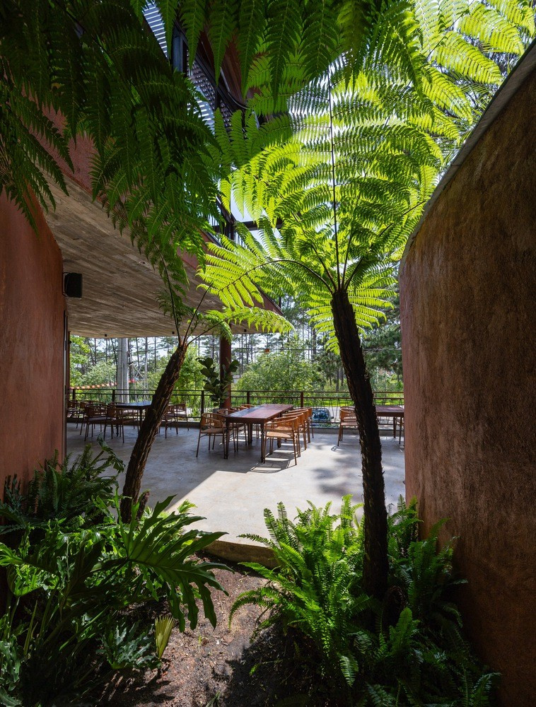 Từ đây, các không gian dần dần đổ xuống rừng thông, những thay đổi tinh tế về độ cao tạo nên sự gần gũi và tương tác. Ảnh: Trieu Chien