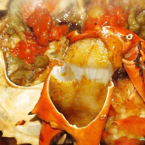 Ở giai đoạn này, thịt cua cốm rất ngọt và chắc, gạch béo và bùi, không bị cứng và ăn dễ gây ngán như ở con cua gạch. Ảnh: Haisantuoisach