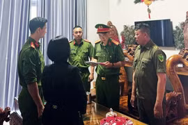 Đắk Lắk: Khởi tố hộ kinh doanh gỗ thu 143 tỷ, nộp thuế 900 nghìn đồng