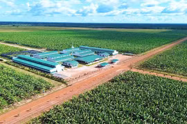 Làn sóng đầu tư Việt Nam đang phủ kín thị trường Lào – Campuchia