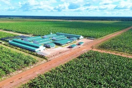 Làn sóng đầu tư Việt Nam đang phủ kín thị trường Lào – Campuchia