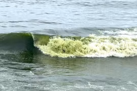 Du khách bất ngờ trước sóng biển ở Vũng Tàu có màu xanh lá 