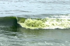 Du khách bất ngờ trước sóng biển ở Vũng Tàu có màu xanh lá 