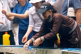 Chen nhau xin nước lấy lộc đầu năm ở đền Phủ Na