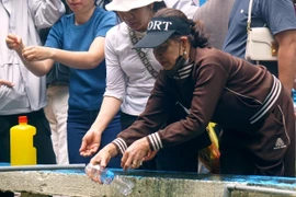 Chen nhau xin nước lấy lộc đầu năm ở đền Phủ Na