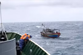 Thời tiết ngày 13/11: Bắc Bộ lạnh về đêm, trên biển gió mạnh sóng lớn