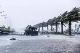 Năm 2026 có bao nhiêu cơn bão ảnh hưởng trực tiếp đến Việt Nam?