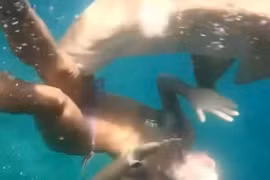 Khoảnh khắc người phụ nữ lặn ngắm san hô thì bị cá mập cắn và kéo đi